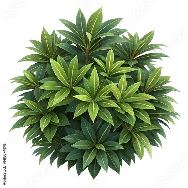 Obraz green plant isolated