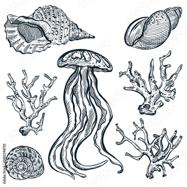 Fototapeta Ocean life design elements. Jellyfish, seashells and corals. Vector hand drawn sketch illustration of sea shells