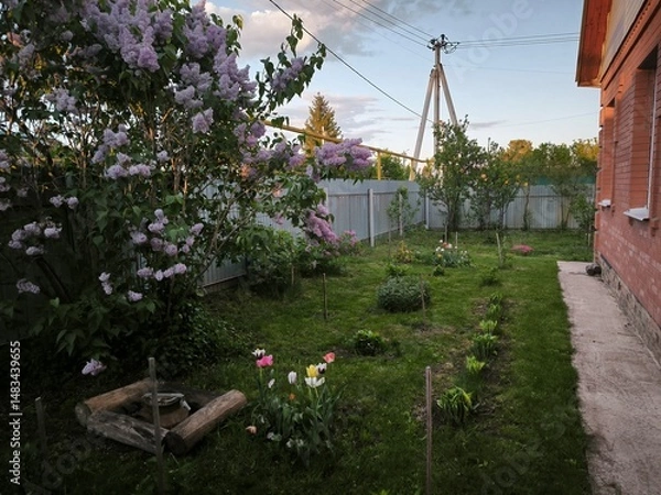 Obraz flowers in the garden