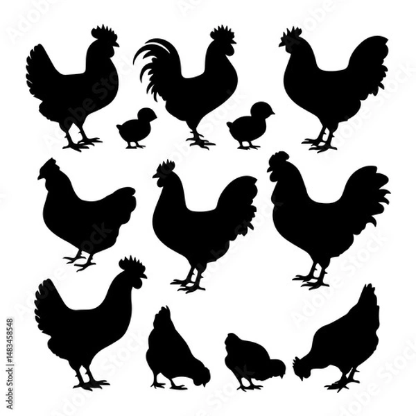 Fototapeta Silhouettes of various chickens, roosters, and chicks arranged in a grid pattern on a white background, showcasing different poses and feather shapes in a clean vector style.