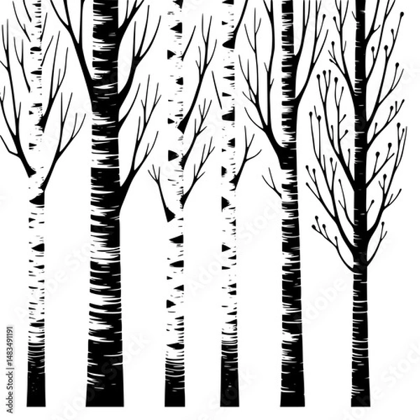 Fototapeta Black and White Birch Trees: Minimalist Forest Background