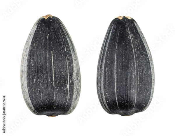Fototapeta Two sunflower seeds showing their striped shells on transparent background