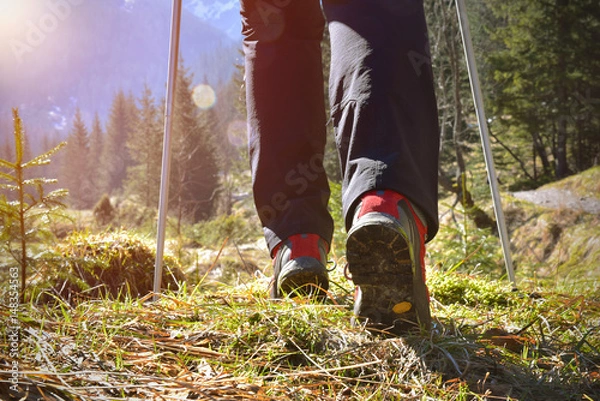 Obraz Trekking at the morning on Tatra mountain path