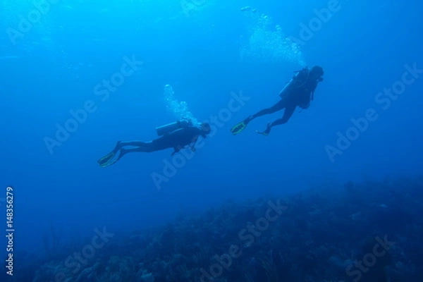 Obraz Diving in Puerto Rico