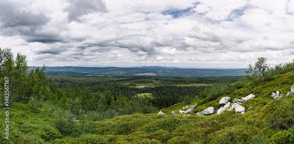 Fototapeta Vast green valleys and rocky terrains are visible under a cloudy sky in Fulufjället National Park in Dalarna Sweden. This serene landscape showcases diverse natural beauty and tranquility