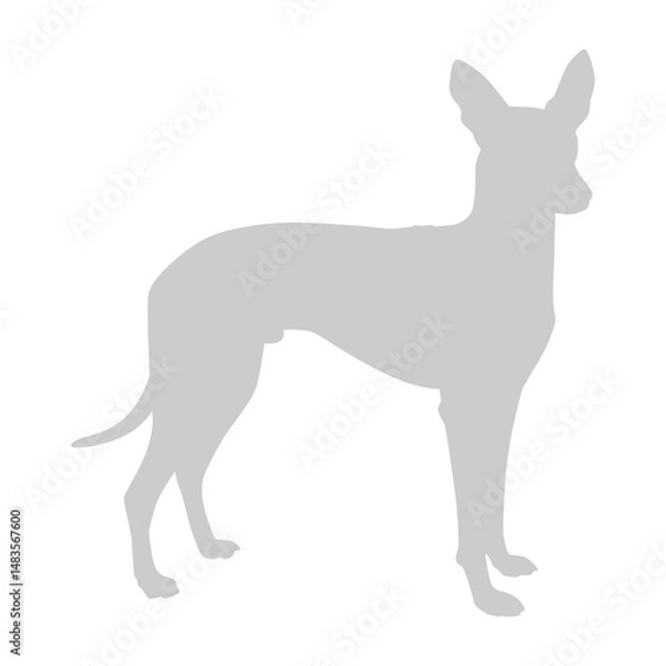 Fototapeta Dog Silhouette, can use for Logo, Art Illustration, Apps, Pictogram, Website, or Graphic Design Element. Format PNG