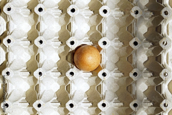 Fototapeta Large recycled cardboard tray with one small egg with a brown spotted shell in the center, pictured above. Concept of poverty: running out of food. Dietary restriction: lack of animal products.