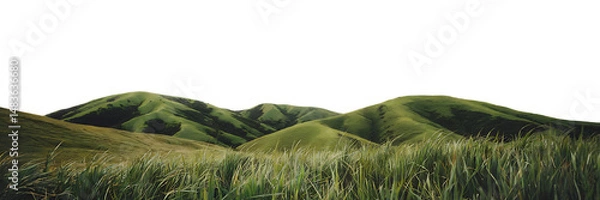 Obraz Green grass mountain isolated on transparent background