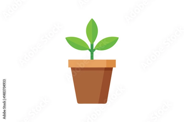 Obraz green plant in a pot