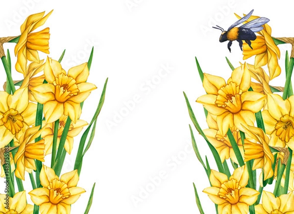 Obraz Yellow watercolor flowers and bumblebee. Watercolor illustration of a meadow with flowers and flying bees. Flower meadow on a summer day. Frame of flowers and bees
