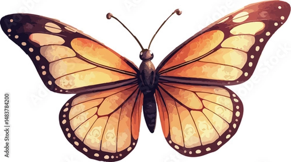 Obraz Butterfly realistic vector illustration.