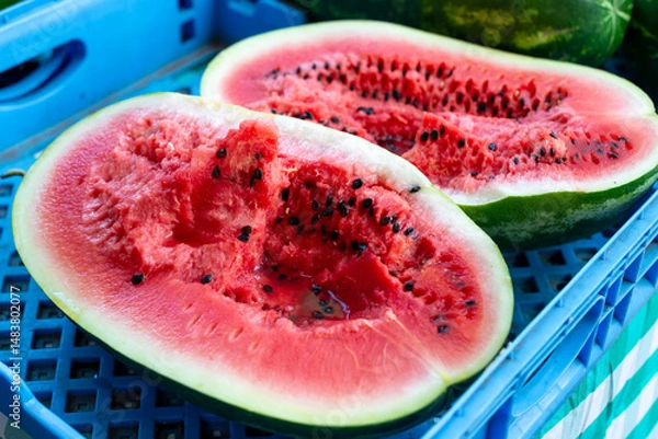 Fototapeta A fresh, elongated watermelon with a transverse cut. The pink chunky inside has lots of black seeds. The outside of the fruit has a striped green and yellow rind. The watermelon is in a blue tray.