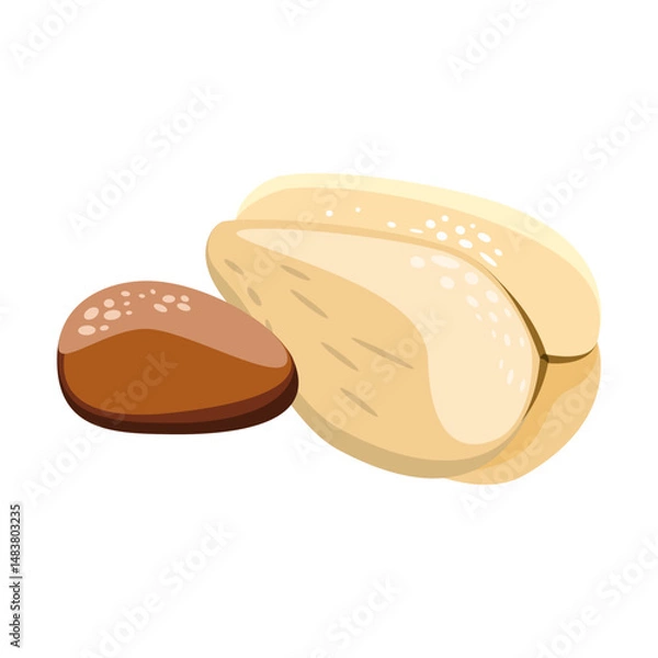Fototapeta Peeled salak is snake fruit and pit vector illustration 