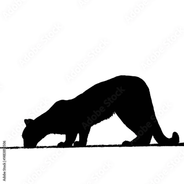 Obraz Solid black silhouette of a cougar crouching