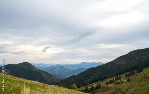 Fototapeta Breathtaking view of green mountains under an overcast sky, highlighting the harmonious connection of nature and peacefulness amidst vast untouched terrains. Carpathian Mountains, Ukraine
