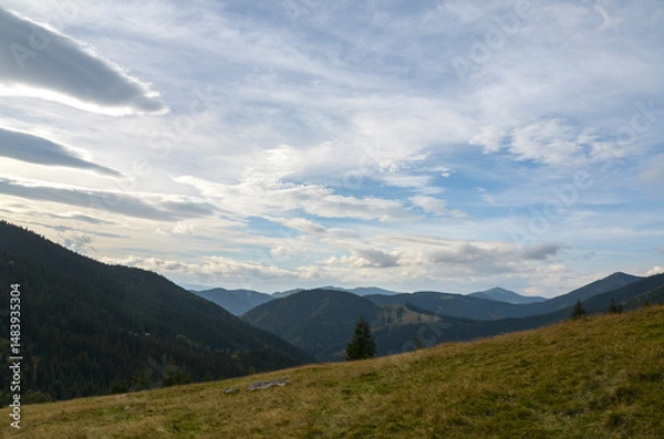 Fototapeta Breathtaking view of green mountains under an overcast sky, highlighting the harmonious connection of nature and peacefulness amidst vast untouched terrains. Carpathian Mountains, Ukraine