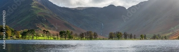 Fototapeta Buttermere pines at Buttermere lake. United Kingdom