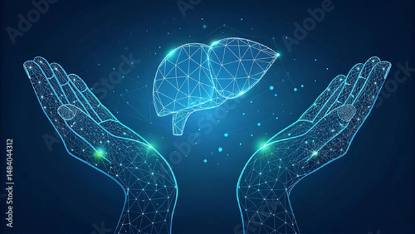 Obraz Two human hands are holds human liver. Support healthy liver concept. Wireframe glowing low poly design on dark blue background. Abstract futuristic vector illustration.    