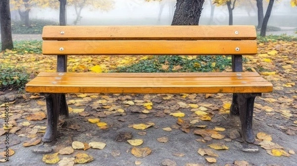 Fototapeta Rustic wooden bench awaits in serene park bathed in ethereal autumn fog golden leaves tranquil nature