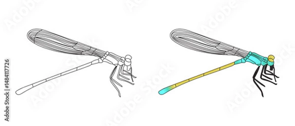 Fototapeta Dragonfly Isolated Illustration Set with Colorful and Outline Insect