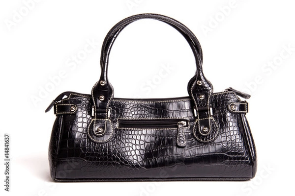 Obraz crocodile leather bag