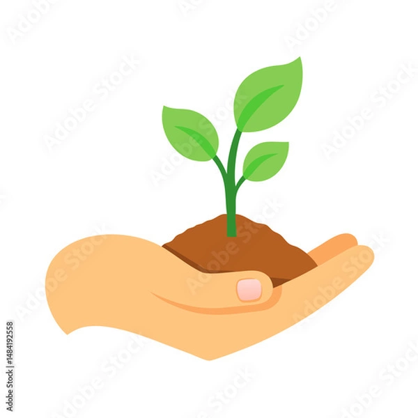 Obraz hand holding a plant