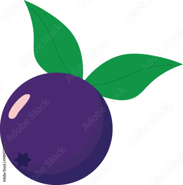 Fototapeta Vector illustration of açaí berries in a decorative style. Perfect for digital projects, food packaging, culinary artwork, natural products, and healthy lifestyle themes.
