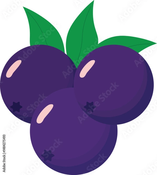 Fototapeta Vector illustration of açaí berries in a decorative style. Perfect for digital projects, food packaging, culinary artwork, natural products, and healthy lifestyle themes.