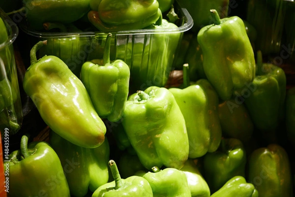 Obraz Fresh green peppers in a vibrant market display