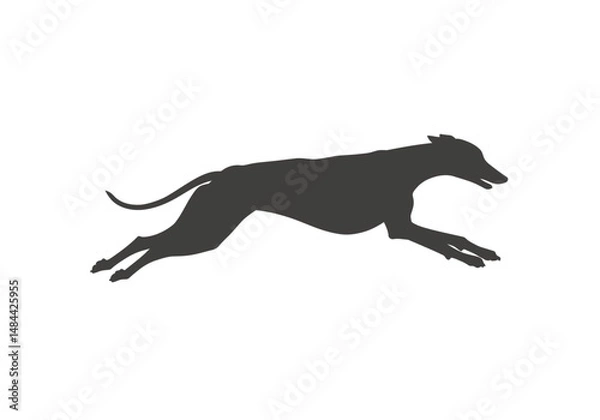 Fototapeta Sleek Greyhound Silhouette in MidStride Dynamic Leap
