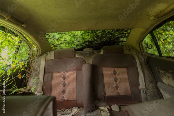 Fototapeta The interior of an abandoned vehicle surrounded by greenery