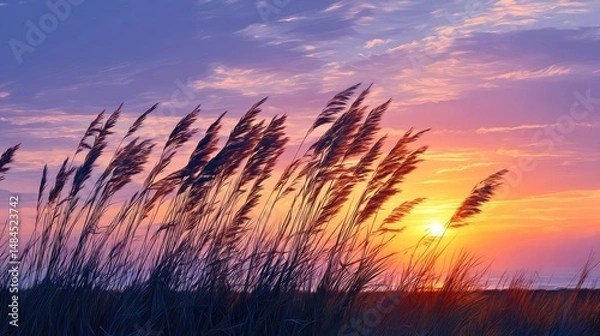 Fototapeta Blowing in the wind with foliage over morning meadow concept. Golden rays of sunset illuminate tall grasses in a serene landscape.