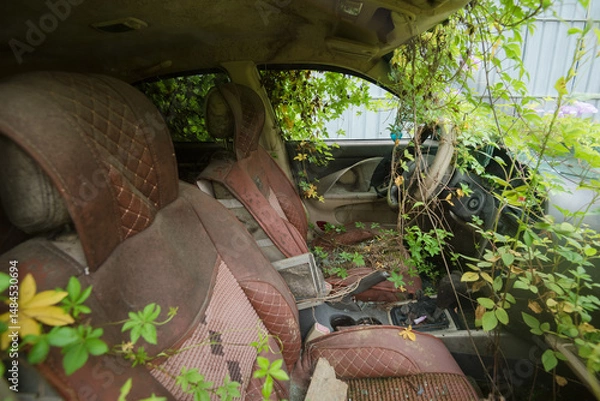 Obraz The interior of an abandoned vehicle surrounded by greenery