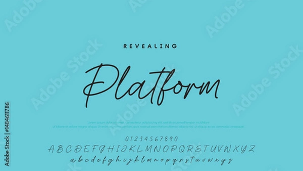 Fototapeta Hand drawn vector alphabet. Modern monoline signature script font. Elegant Signature Font. Best Alphabet Beautiful Calligraphy Signature Font