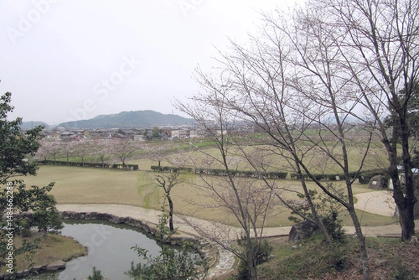Obraz 日本：万葉の森 船岡山公園（飛鳥路時代の大海人皇子と額田王が遊猟した蒲生野）／滋賀県東近江
