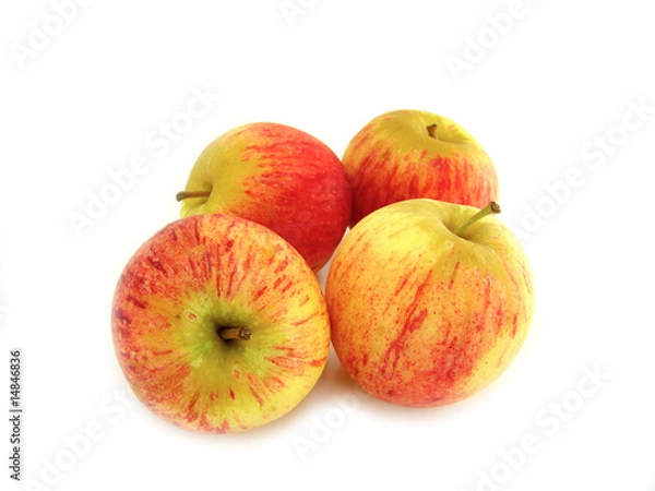 Obraz red apples isolated on white