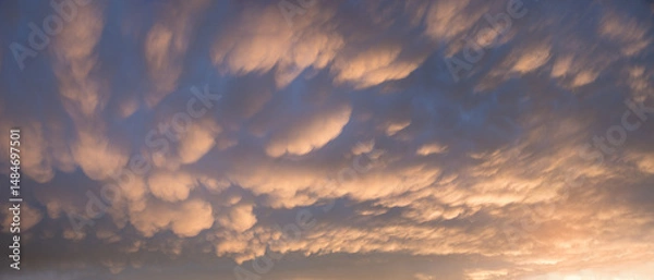 Fototapeta seldom weather phenomen, sky background with yellow lighted mammatus clouds
