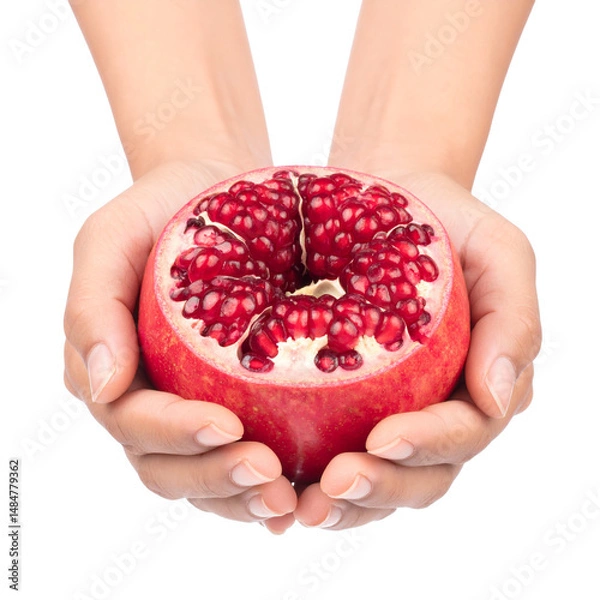 Fototapeta Fresh pomegranate held in hands against black background featuring vivid red color and detailed texture