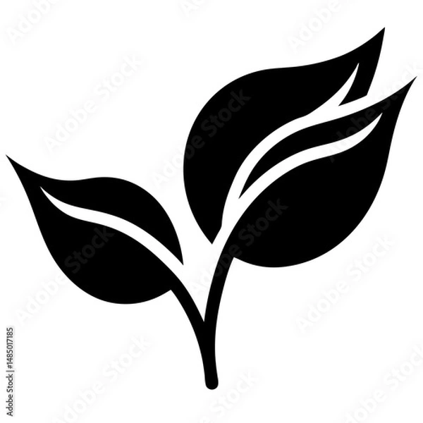 Obraz Silhouette Flower collection