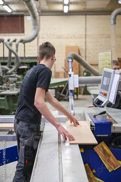 Obraz Enseignement education apprentissage ecole technique menuiserie bois scie