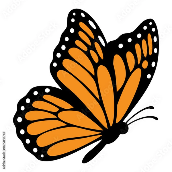 Fototapeta Monarch butterfly. Vector illustration isolated on white background.