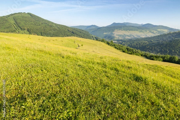 Fototapeta carpathian countryside landscape on a sunny summer morning. scenic view of grassy field and trees on the hill. scenery with watershed mountain ridge in the distance under blue sky. rural ukraine