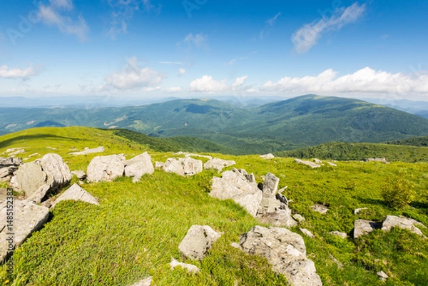 Fototapeta green alpine hills and slopes in summer. landscape with stones and boulders among the grass under a blue sky with clouds. outdoor adventure. scenic vacations in mountains of ukraine on a sunny morning