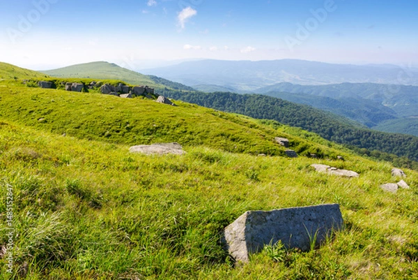 Fototapeta white sharp stones on the hillside. scenic travel destination of ukraine. lovely carpathian mountain landscape in summer. huge rocks scattered among alpine grass. stunning terrain of smooth mountain