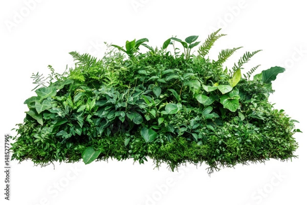 Obraz Isolated green bush