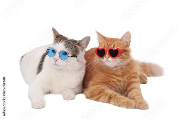Fototapeta Two stylish cats in sunglasses, isolated on white. One ginger cat with red heart-shaped glasses, one white-and-gray cat with round blue glasses. Funny animals, PNG transparent background.