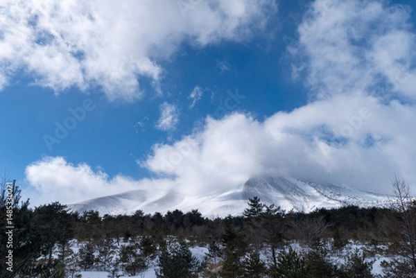 Obraz 冬の浅間山
