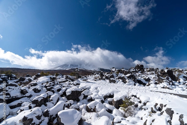 Obraz 冬の鬼押出し園