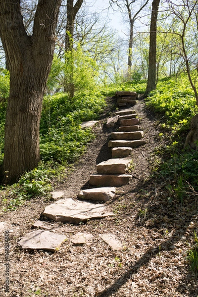 Obraz nature's walkway