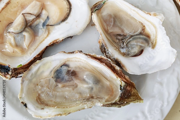 Obraz Fresh oysters on the half shell.